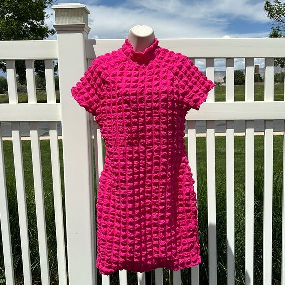 Planet Gold Dresses & Skirts - Pink Smocked Poly Dress Size L, NWOT